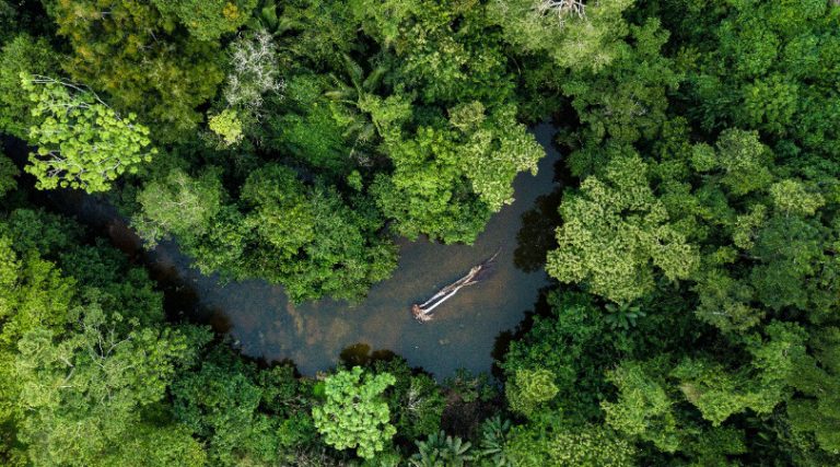 Cresce a consciência dos brasileiros sobre a importância da Amazônia