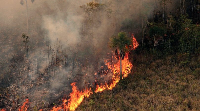 Pantanal queimadas