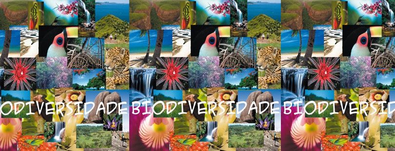 biodiversidade brasileira