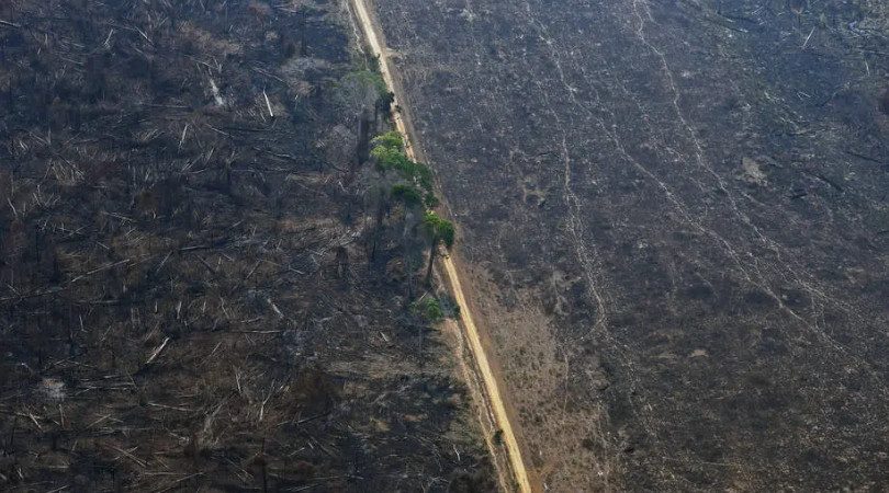 Mato Grosso desmatamento ilegal