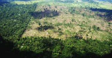 projeto de lei Política Nacional de Proteção do Bioma Amazônia