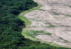 Floresta Amazônica degradação