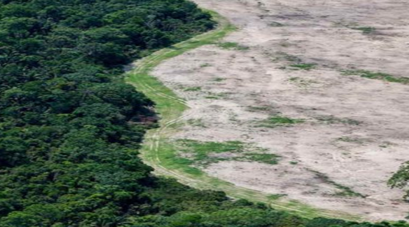 Floresta Amazônica degradação