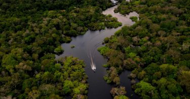 Amazônia caos fundiário