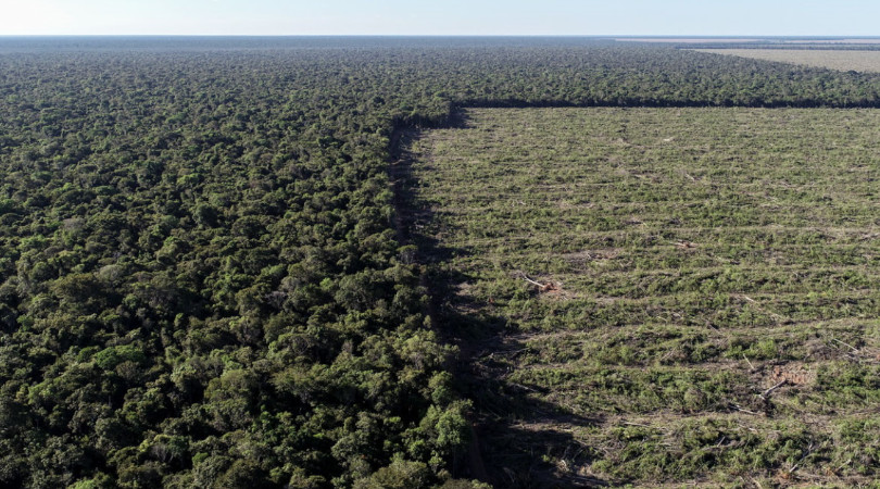 desmatamento Mato Grosso