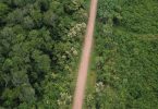 estradas Amazônia