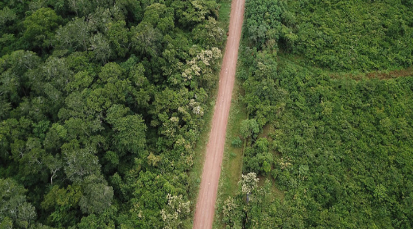estradas Amazônia