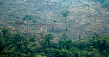 desmatamento Amazônia abril
