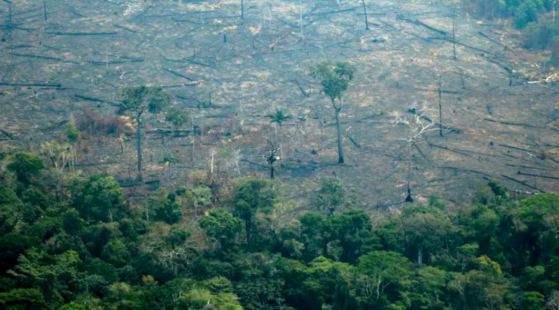 desmatamento Amazônia abril