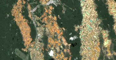 destruição ambiental Amazônia