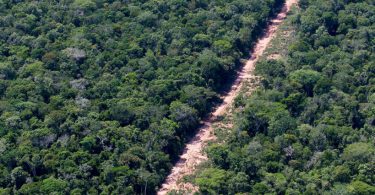 desenvolvimento sustentável amazônia