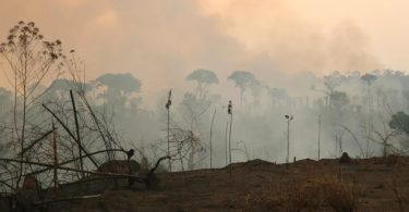 Amazônia incêndios
