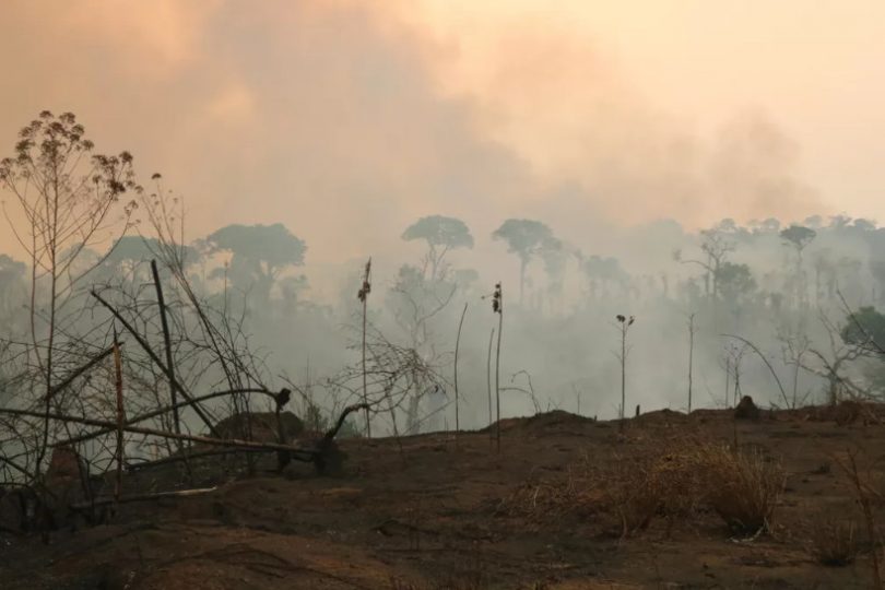 Amazônia incêndios