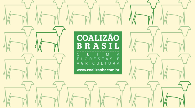 Coalizão gado no Brasil
