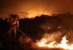 fazendeiros queimadas Pantanal