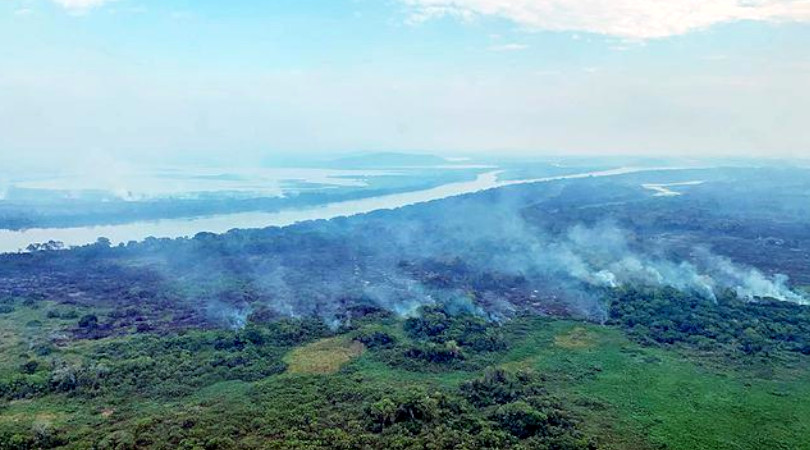 queimadas Pantanal Corumbá