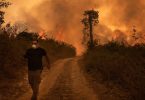 queimadas Pantanal voluntários
