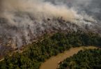 queimadas Amazônia outubro