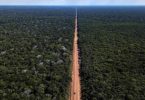 Amazônia nova rodovia
