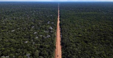 Amazônia nova rodovia