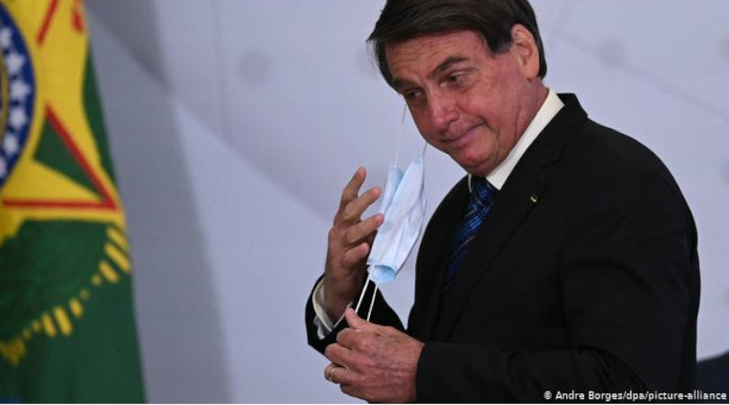 Bolsonaro madeira ilegal repercussões