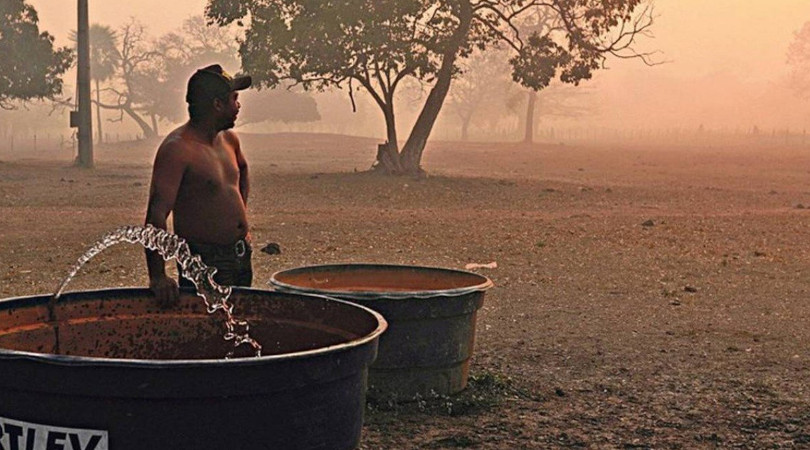 Pantanal caos humanitário