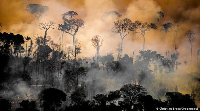 queimadas Amazônia efeitos