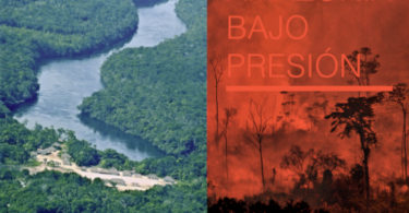 Amazônia pressão
