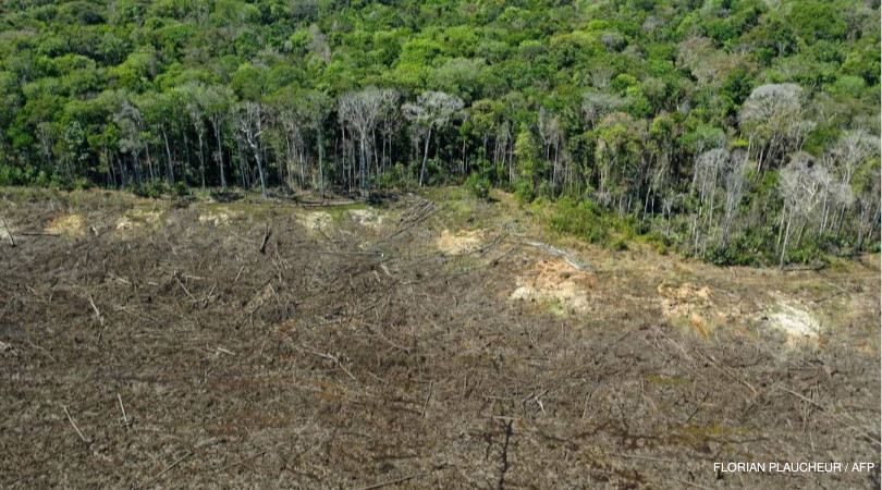 desmatamento Amazônia aumenta