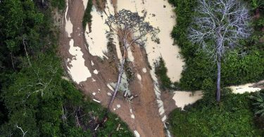 desmatamento Amazônia novembro