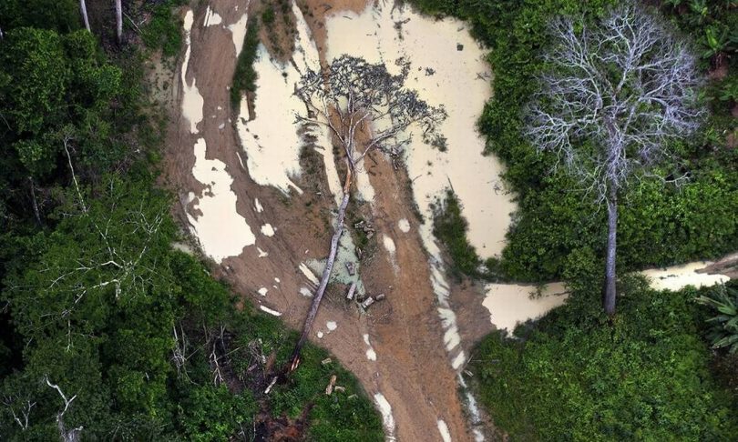 desmatamento Amazônia novembro