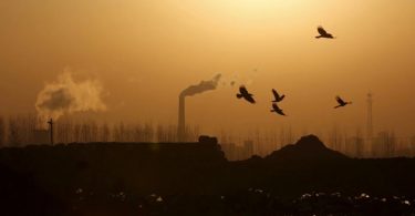 China emissões de carbono