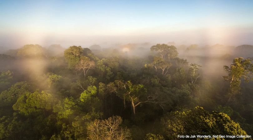 Amazônia aquecimento global