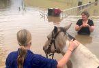 Austrália enchente