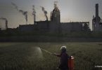 China carbono carvão