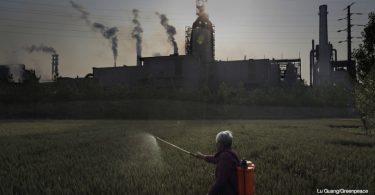 China carbono carvão