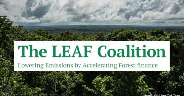 The Leaf Coalition