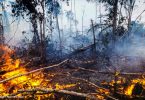 degradação florestal Amazônia