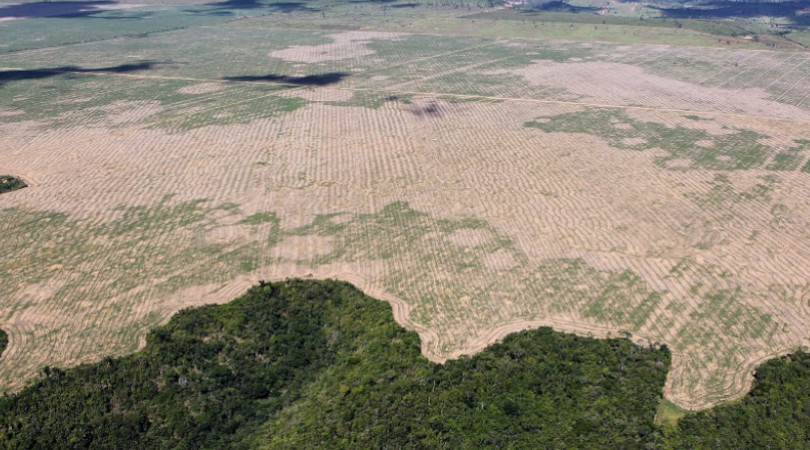 desmatamento Amazônia