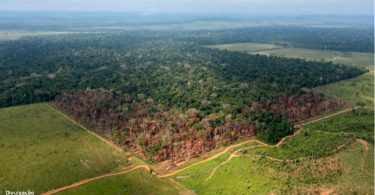 Rondonia redução proteção ambiental