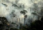 queimadas Amazônia 2021