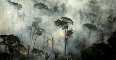 queimadas Amazônia 2021