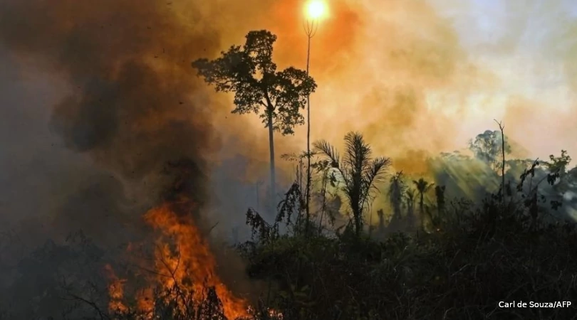 Pesquisa IPAM desmatamento Amazônia