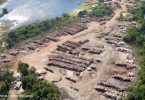 STF suspende liberação madeira ilegal