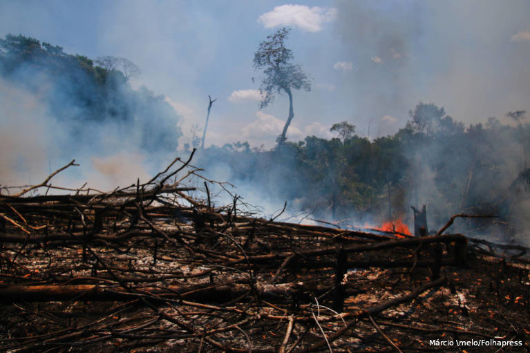 Amazônia degradação