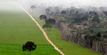 Amazônia emissões