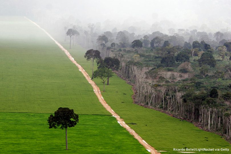 Amazônia emissões