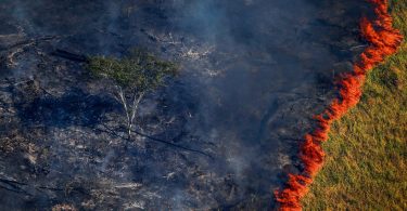 Amazônia queimadas El Niño