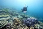 Austrália grande barreira de corais
