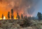 EUA Rússia incêndios florestais